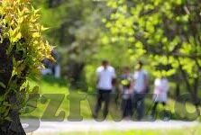成人免费视频亚州-成人免费视频亚州，网络世界的灰色地带与道德边界