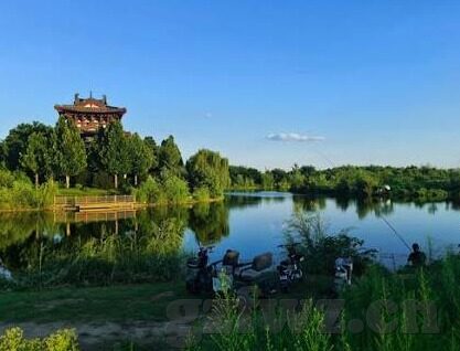 麻豆文化传媒app在线-麻豆之旅，解锁网络新视界