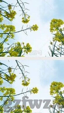 糖心app免费观看网站-守护网络净土，文明使用互联网的指南