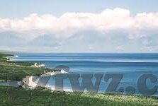 糖心直播app官方-糖心直播——引领直播新风尚的官方平台