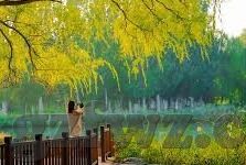 午夜精品一区二区三区免费视频-午夜精品，探索网络视频的多元世界